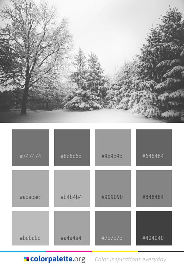 Snow Winter White Color Palette