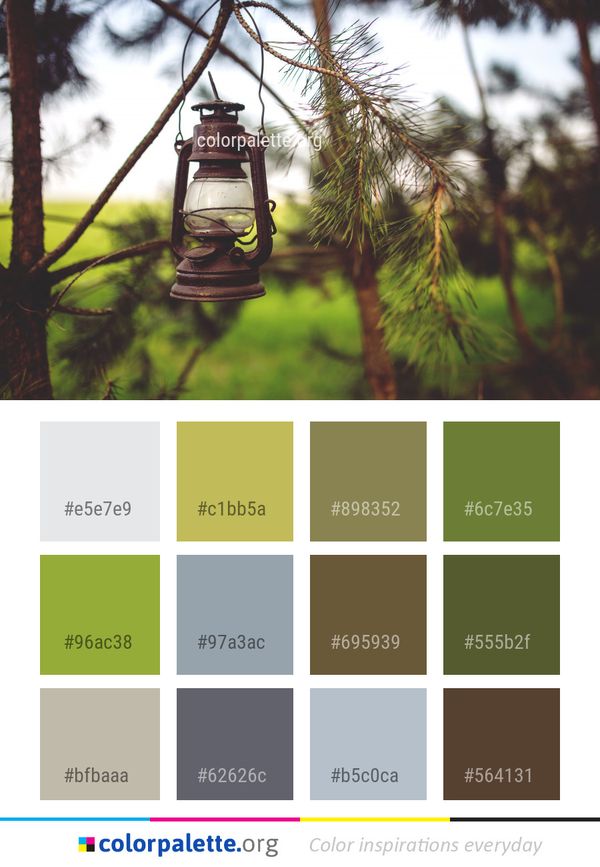 Tree Branch Plant Color Palette