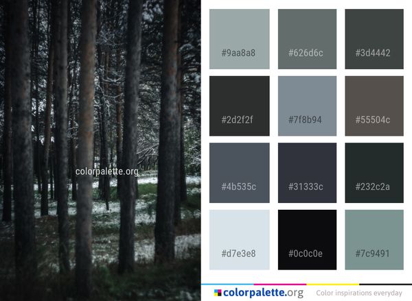 Tree Forest Woodland Color Palette