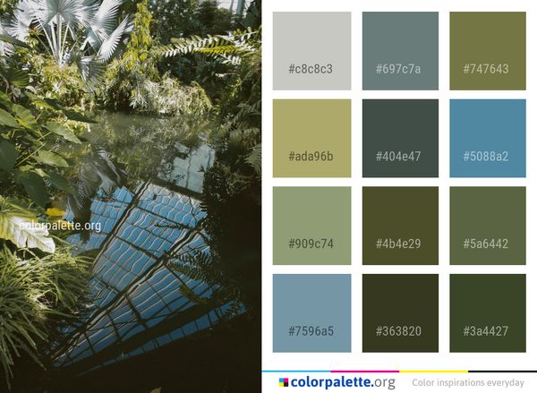 Water Reflection Tree Color Palette