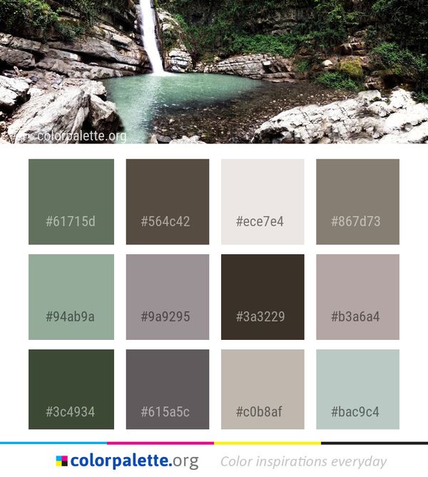 Body Of Water Nature Reserve Color Palette