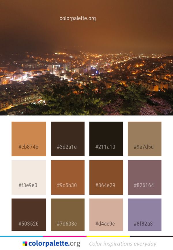 City Night Cityscape Color Palette