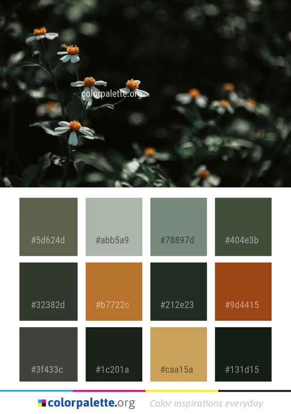 Flower Flora Plant Color Palette