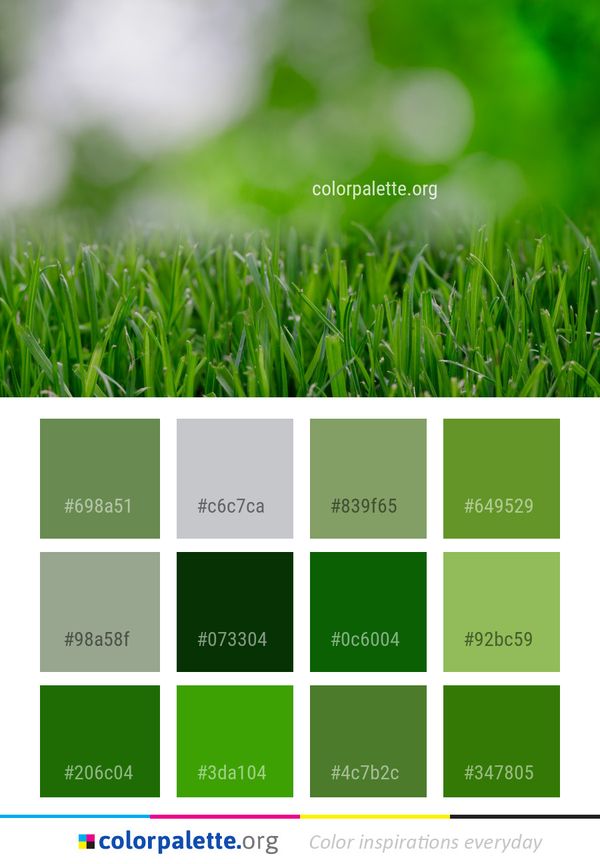 Green Grass Lawn Color Palette