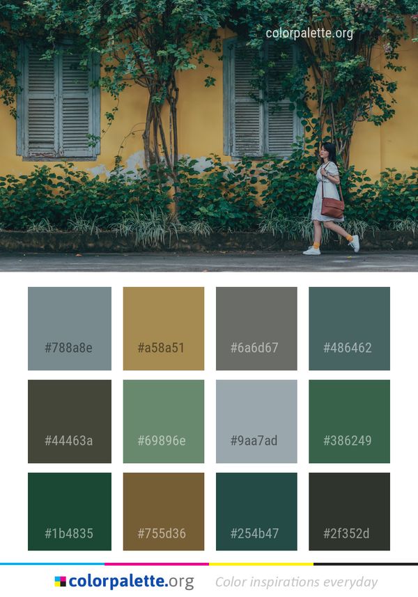Green Tree Woody Plant Color Palette