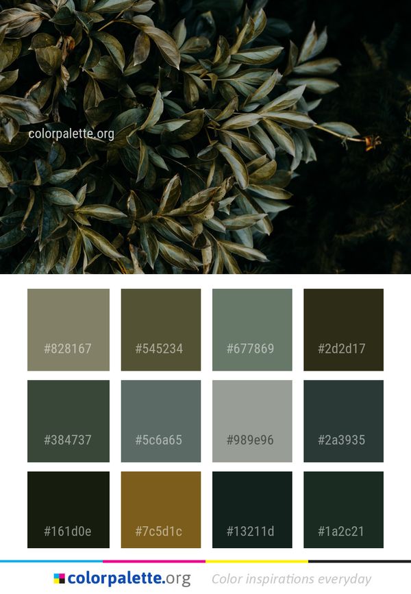 Plant Leaf Flora Color Palette