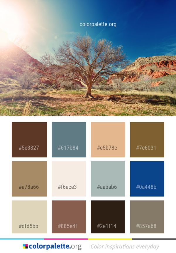 Sky Tree Nature Color Palette