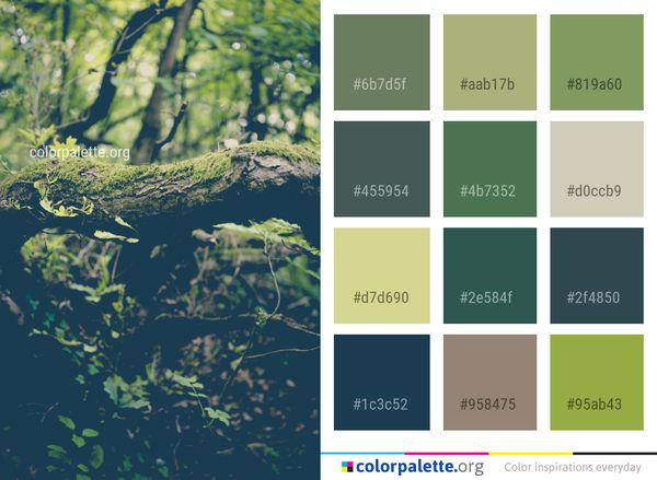 Water Green Nature Color Palette