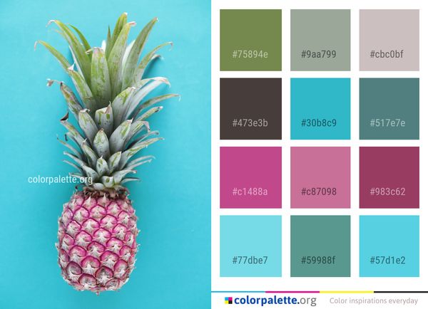 Ananas Pineapple Plant Color Palette