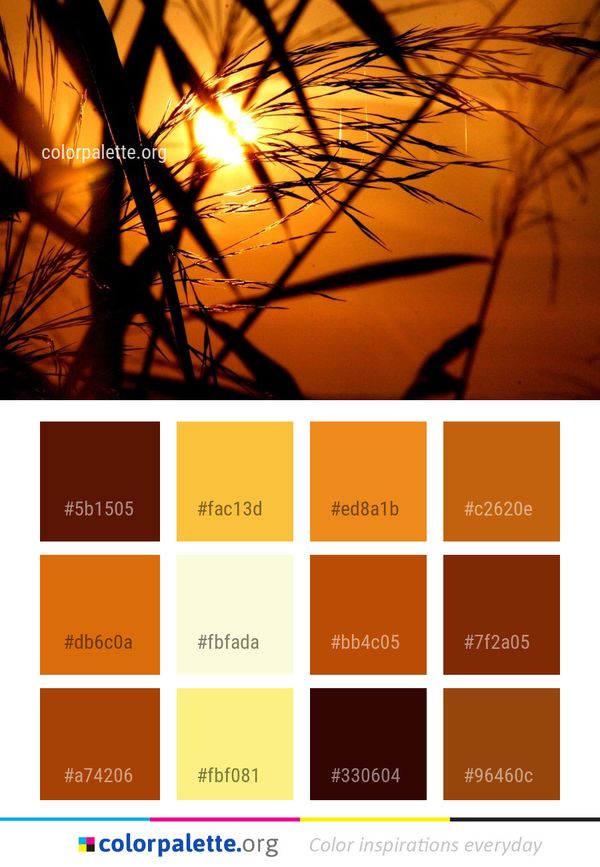 Branch Yellow Sun Color Palette