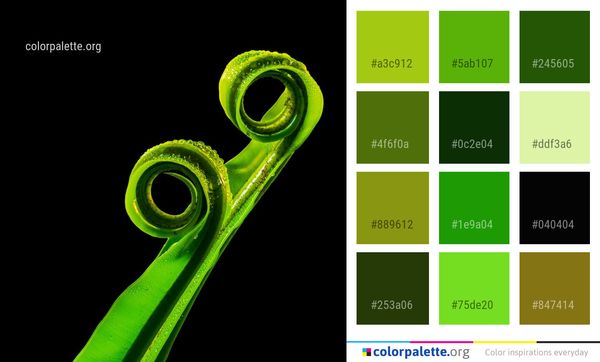 Close Up Product Organism Color Palette