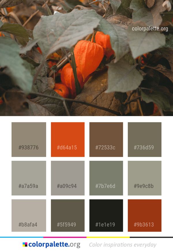 Leaf Flora Plant Color Palette