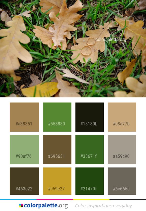 Leaf Fungus Autumn Color Palette