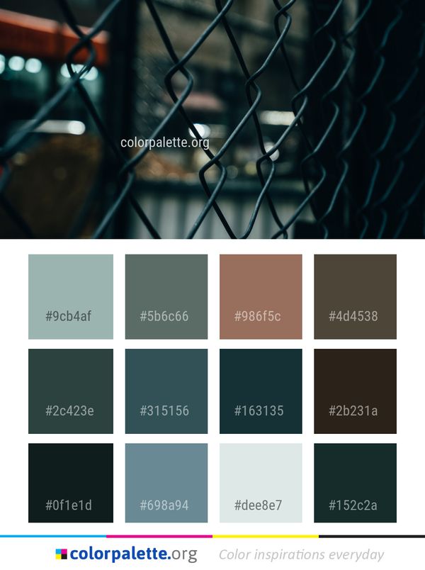 Light Darkness Snapshot Color Palette