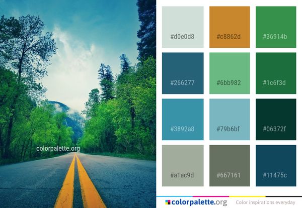 Nature Green Sky Color Palette