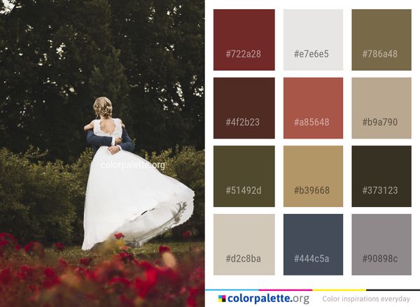 Photograph Bride Nature Color Palette