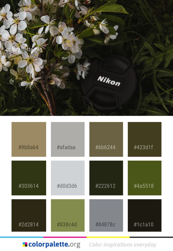 Plant Flower Flora Color Palette