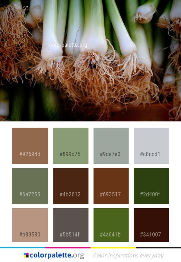 Plant Vegetable Grass Family Color Palette