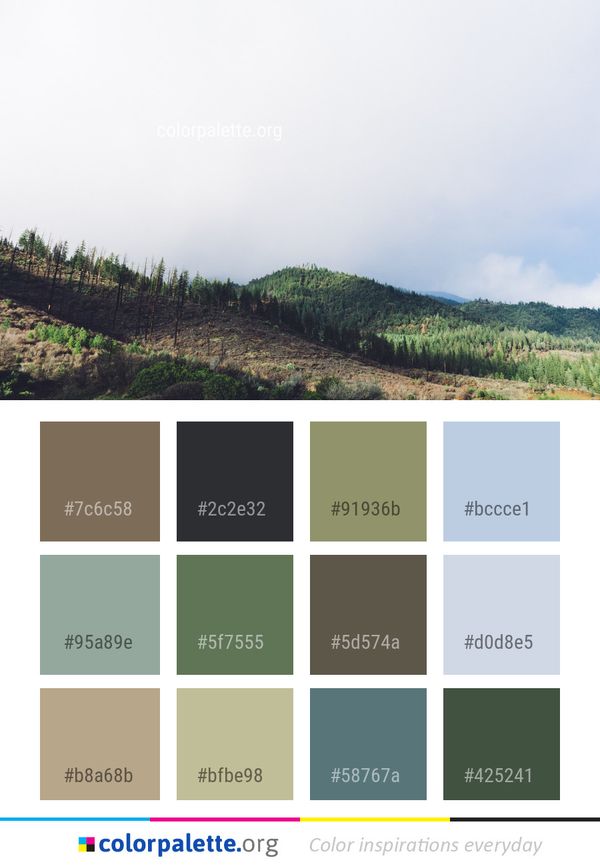 Sky Vegetation Hill Station Color Palette