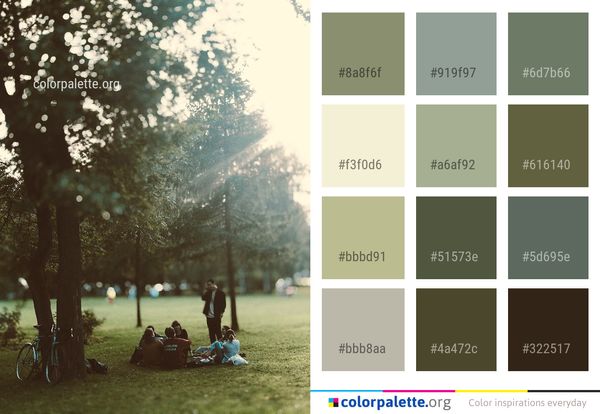 Tree Photograph Nature Color Palette