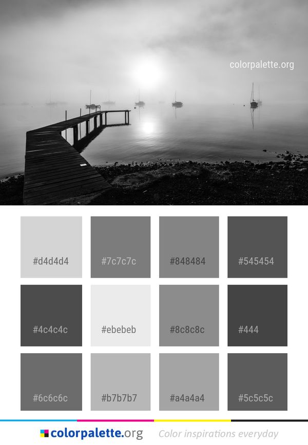 Black And White Water Fog Color Palette