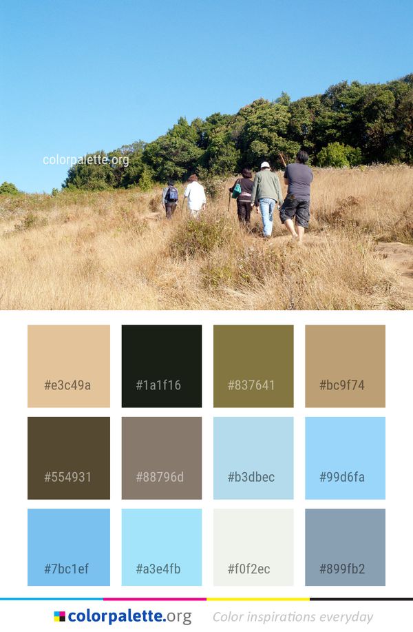 Ecosystem Grassland Mountainous Landforms Color Palette