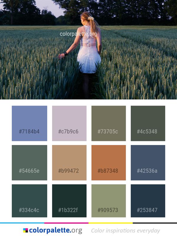 Field Crop Grass Family Color Palette
