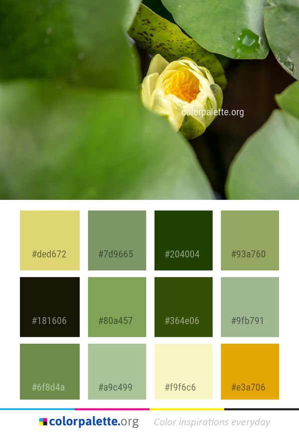 Flower Green Yellow Color Palette