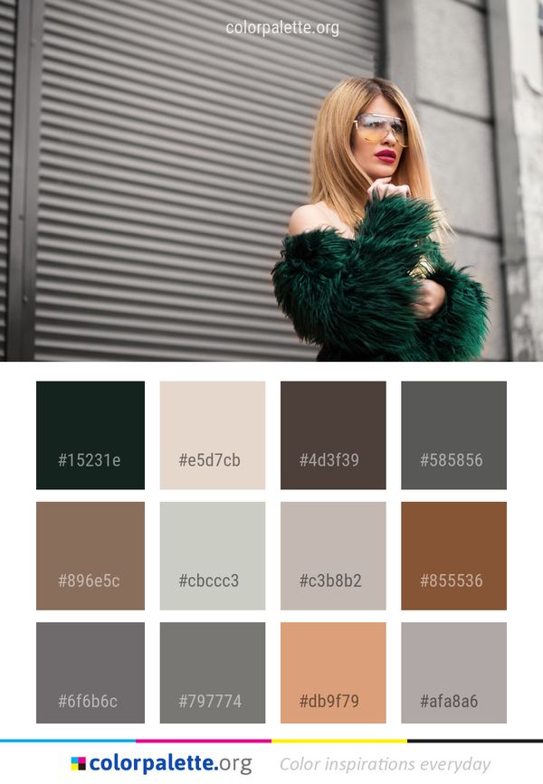 Fur Clothing Beauty Color Palette