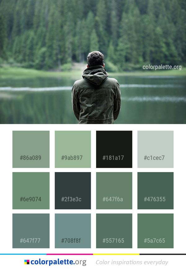 Green Water Nature Color Palette