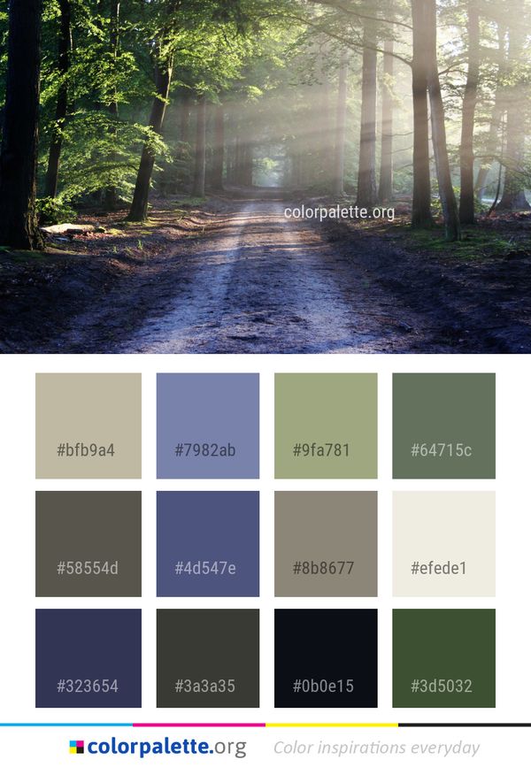 Nature Woodland Path Color Palette