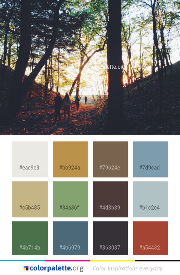 Tree Nature Woody Plant Color Palette