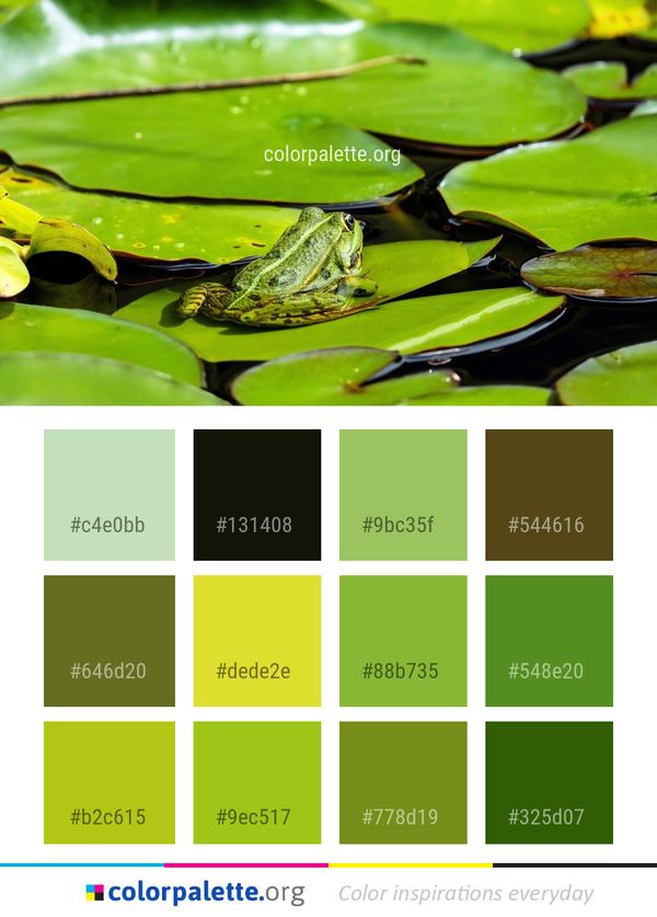 Water Ranidae Leaf Color Palette