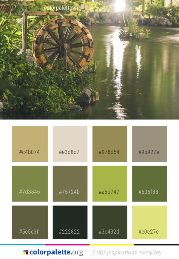 Water Reflection Tree Color Palette