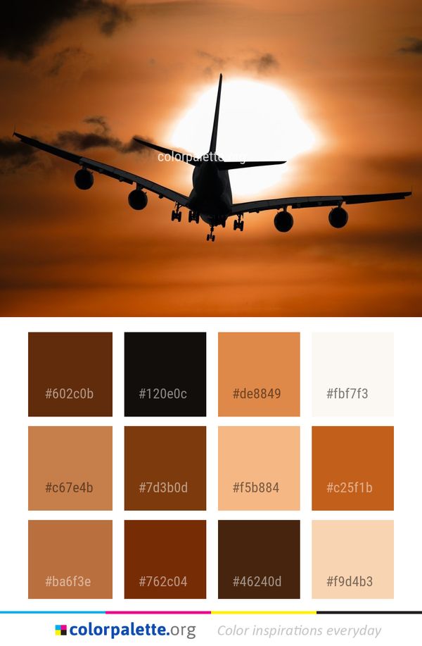 Airline Sky Airplane Color Palette