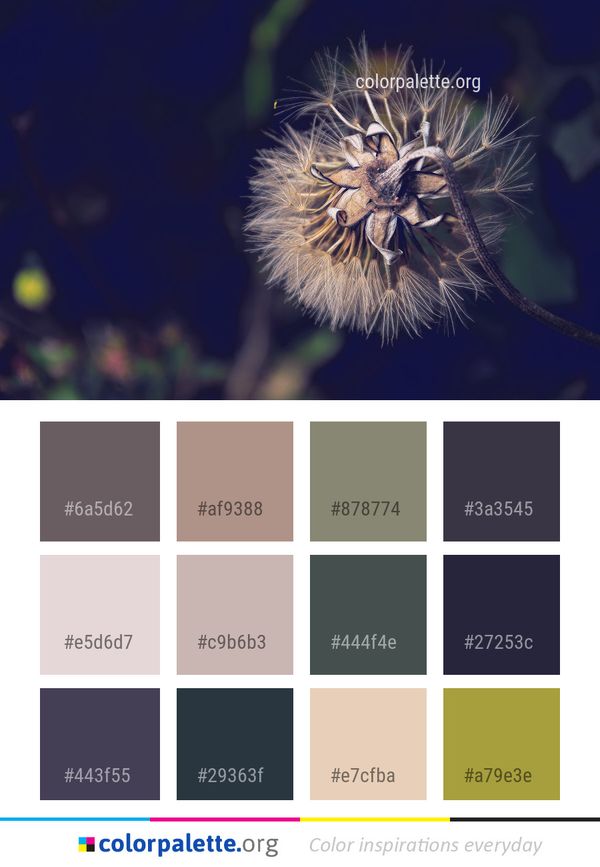 Flower Flora Close Up Color Palette