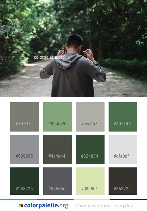 Green Tree Photograph Color Palette