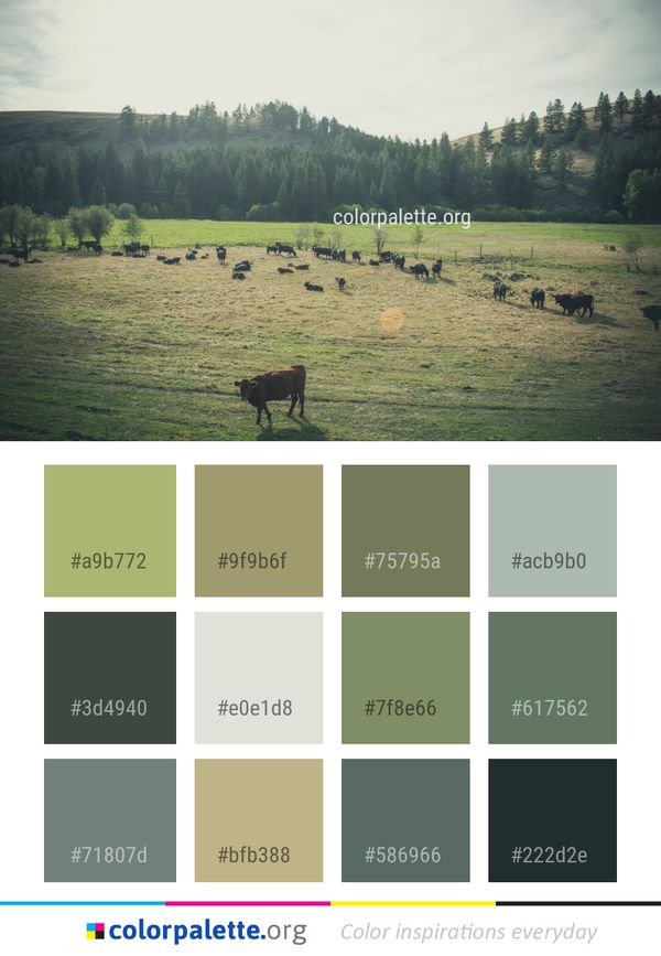 Pasture Grassland Sky Color Palette