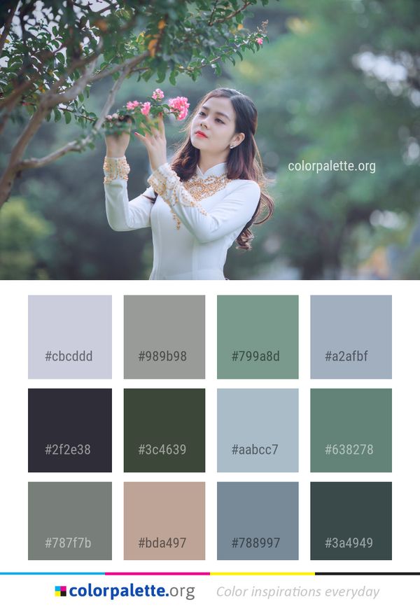 Photograph Nature Beauty Color Palette