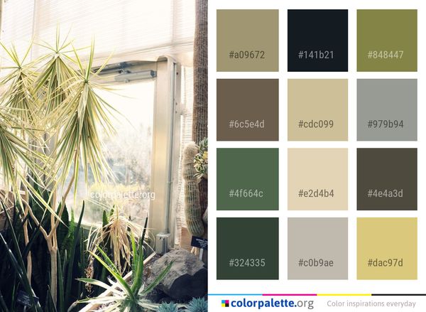 Plant Arecales Flora Color Palette