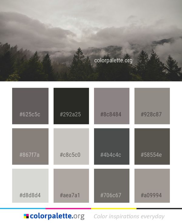 Sky Cloud Tree Color Palette