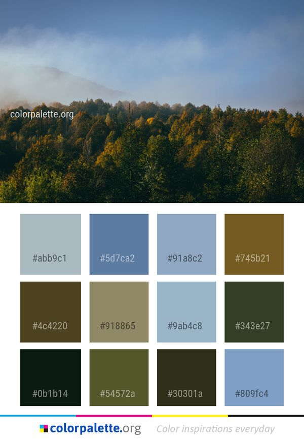 Sky Nature Leaf Color Palette
