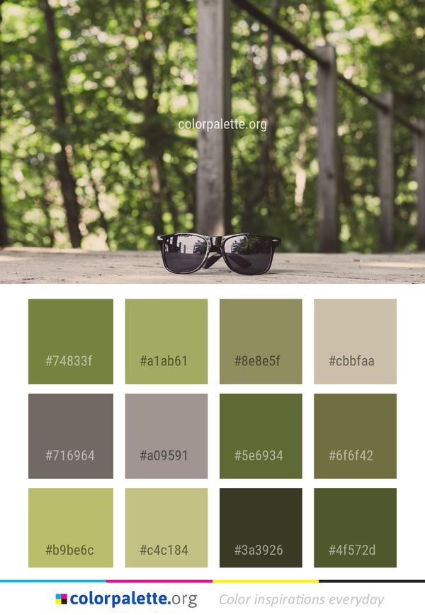 Tree Plant Grass Color Palette