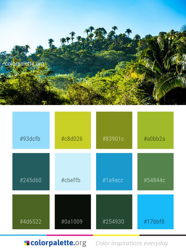 Vegetation Nature Tree Color Palette