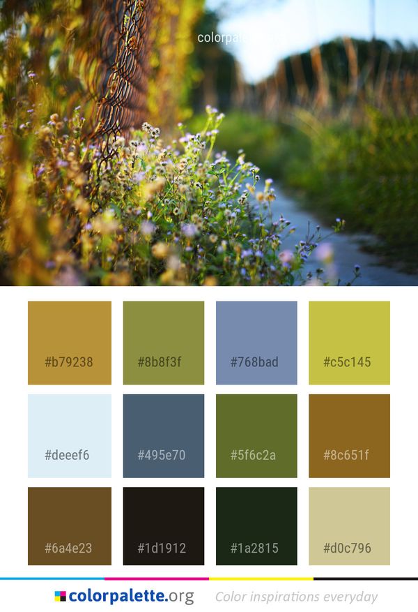 Vegetation Water Flora Color Palette