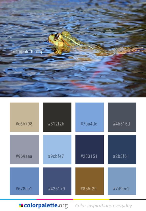 Water Fauna Reflection Color Palette