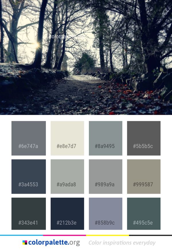 Woodland Tree Nature Color Palette