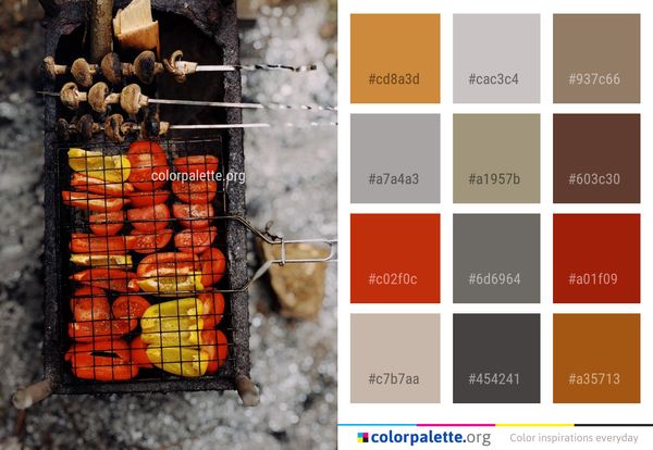 Animal Source Foods Meat Barbecue Color Palette