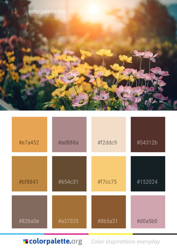 Flower Nature Yellow Color Palette