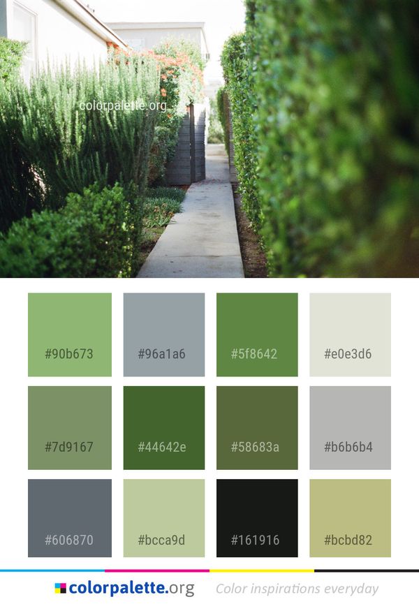 Green Plant Garden Color Palette